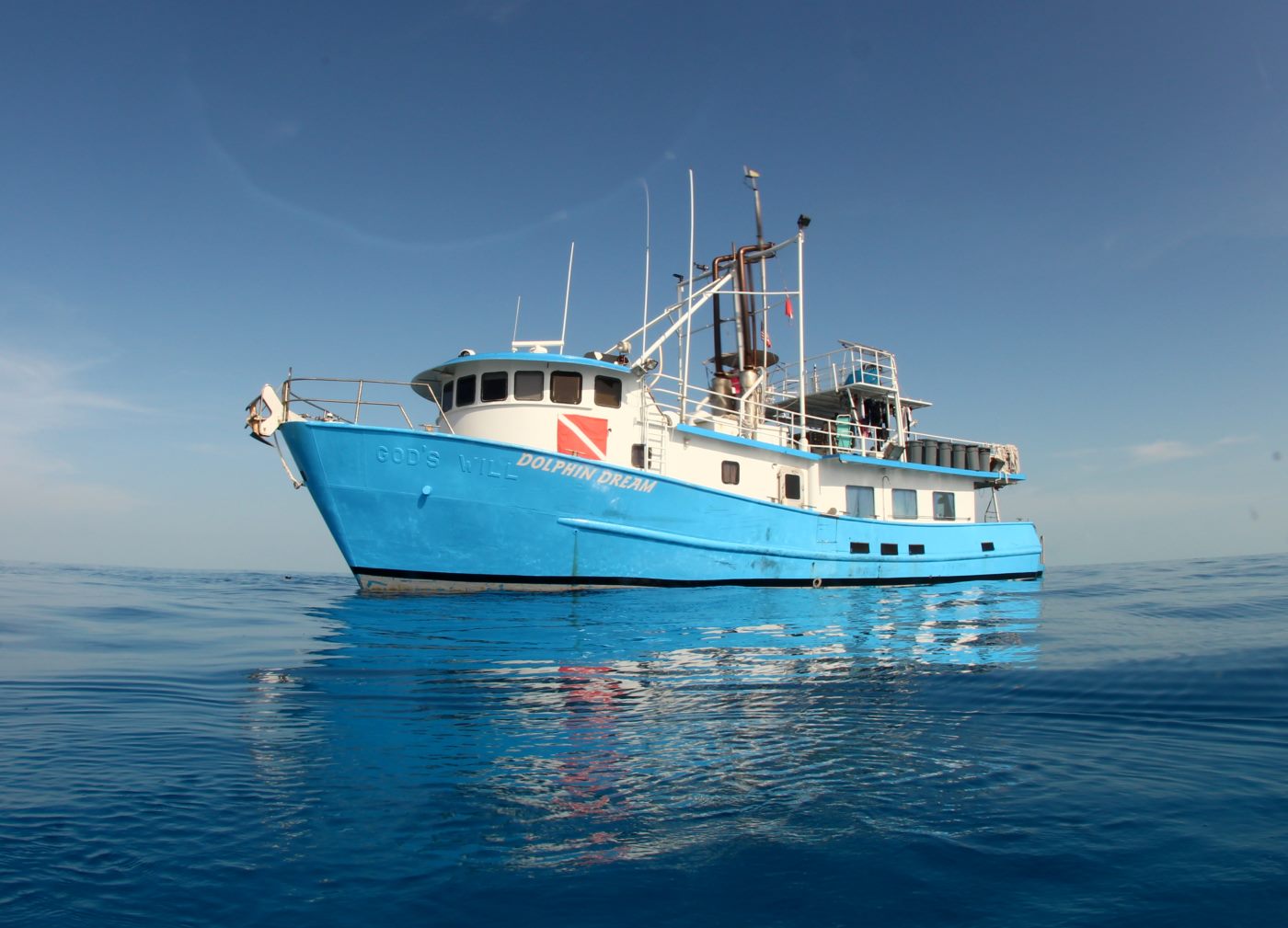 Dolphin Dream 2