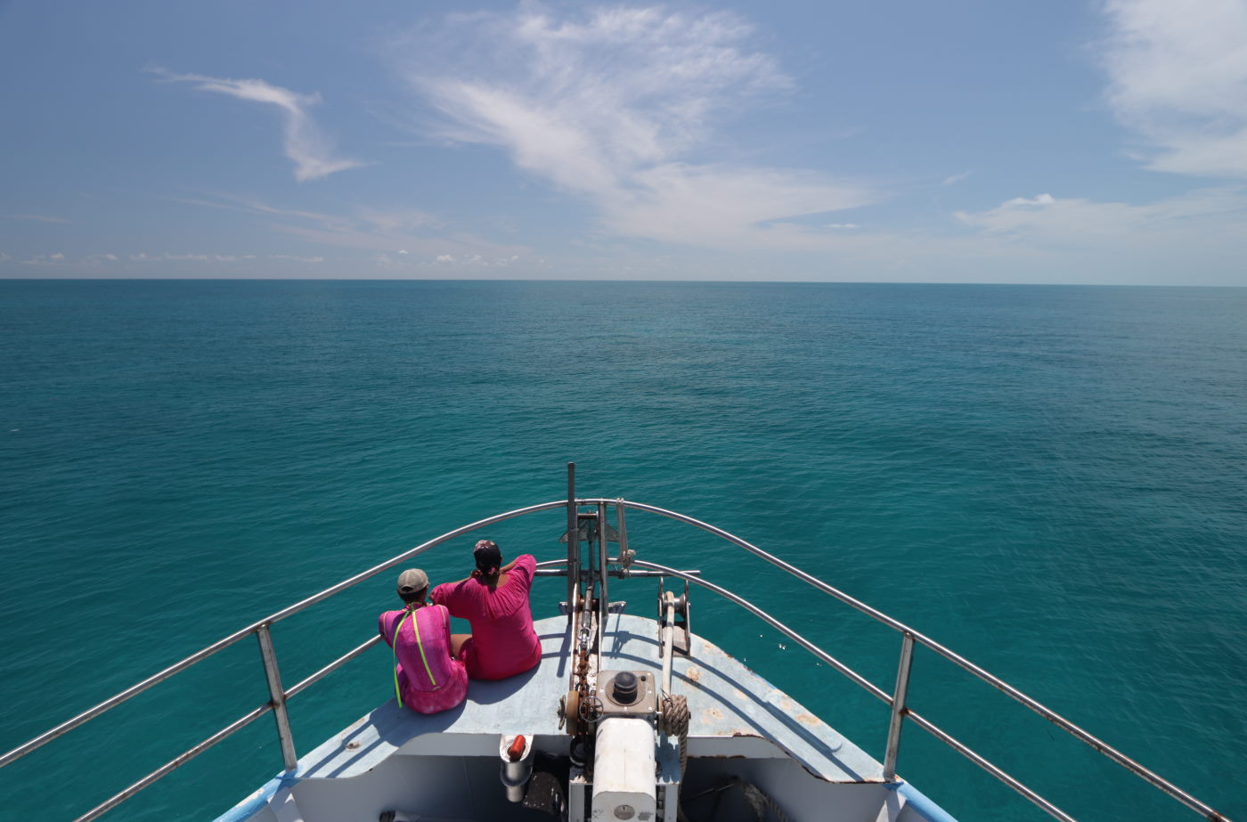 wild dolphin cruise