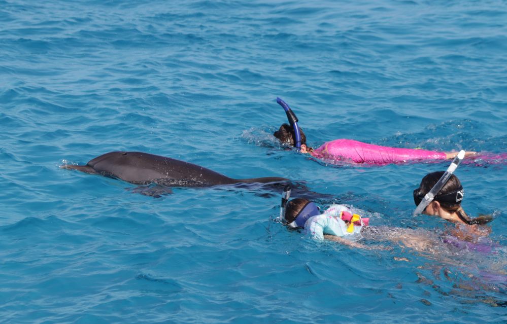 Kind mit Delfinen