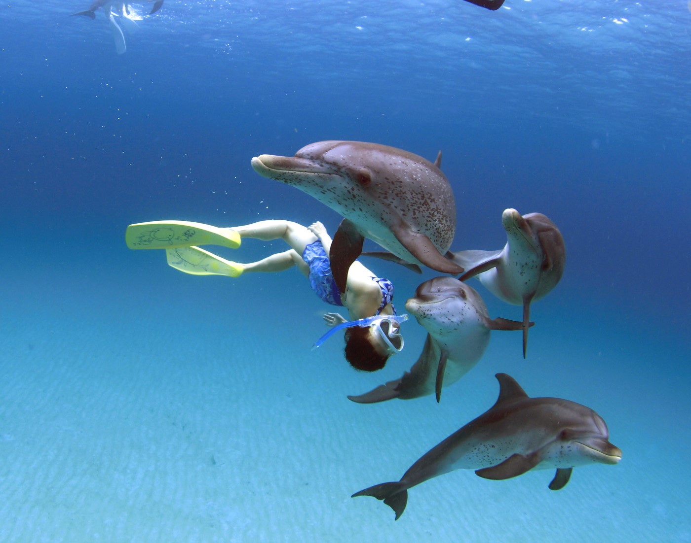 best-snorkeling-in-the-world best-snorkeling-in-the-world