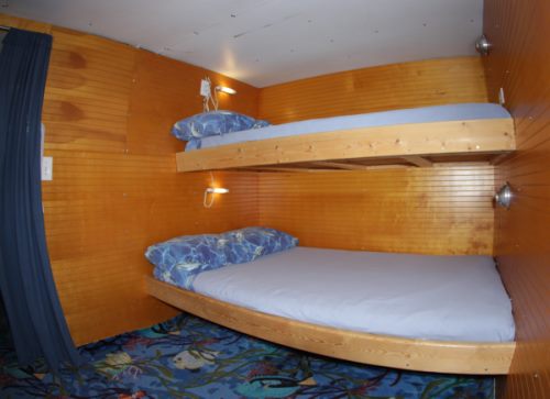 cabinlg1 cabinlg1