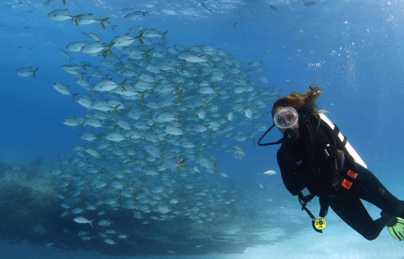 diving