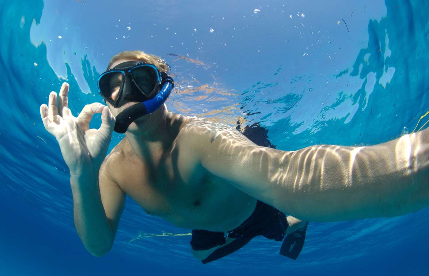 snorkeling Bahamas