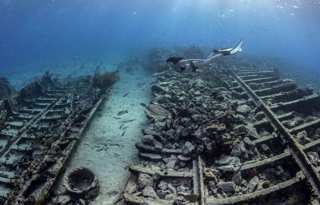 freediving bahamas